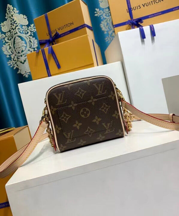 Louis Vuitton JUST IN CASE bag Brown